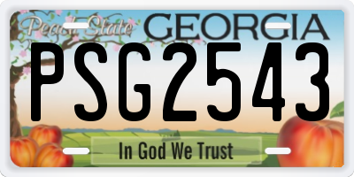 GA license plate PSG2543