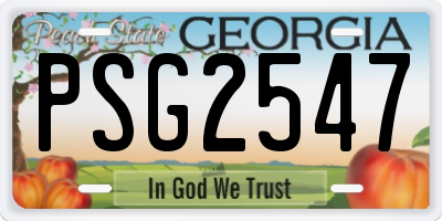 GA license plate PSG2547