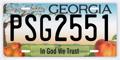 GA license plate PSG2551