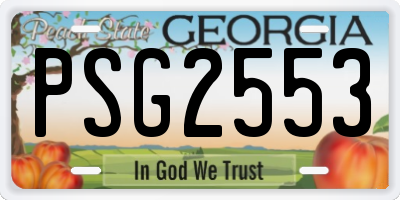 GA license plate PSG2553