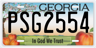 GA license plate PSG2554