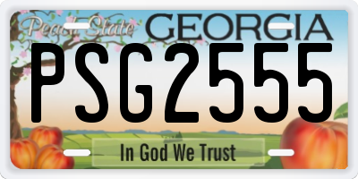 GA license plate PSG2555