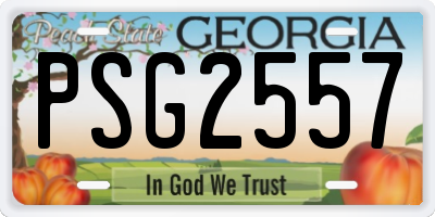 GA license plate PSG2557