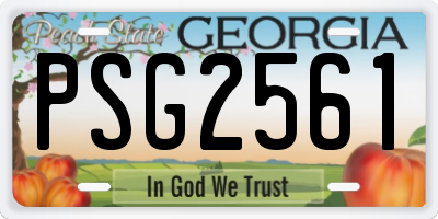 GA license plate PSG2561