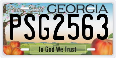 GA license plate PSG2563