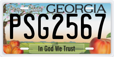 GA license plate PSG2567
