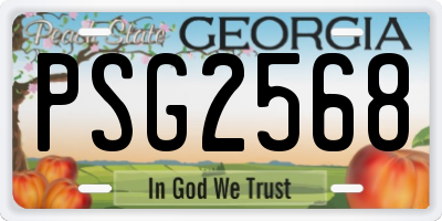 GA license plate PSG2568