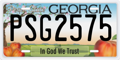 GA license plate PSG2575