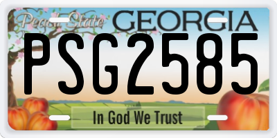 GA license plate PSG2585