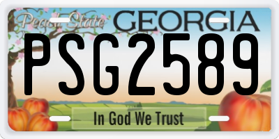 GA license plate PSG2589