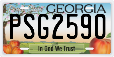GA license plate PSG2590