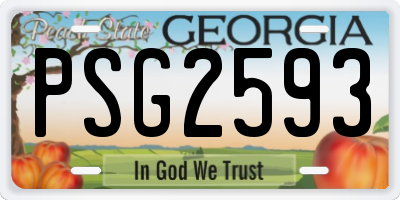 GA license plate PSG2593