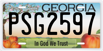 GA license plate PSG2597