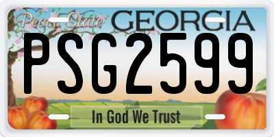 GA license plate PSG2599