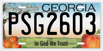GA license plate PSG2603