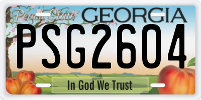 GA license plate PSG2604