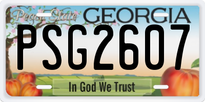 GA license plate PSG2607