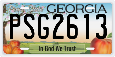 GA license plate PSG2613