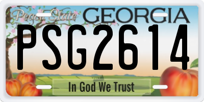 GA license plate PSG2614