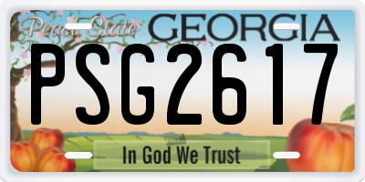 GA license plate PSG2617
