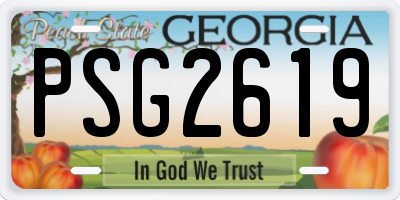 GA license plate PSG2619