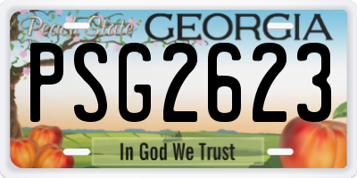 GA license plate PSG2623