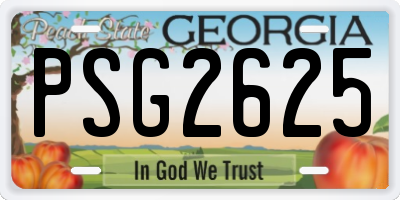 GA license plate PSG2625
