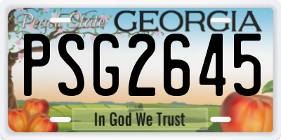GA license plate PSG2645