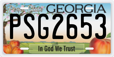 GA license plate PSG2653