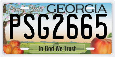 GA license plate PSG2665