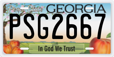 GA license plate PSG2667
