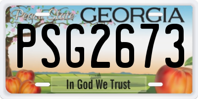 GA license plate PSG2673