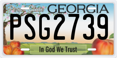 GA license plate PSG2739