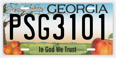 GA license plate PSG3101