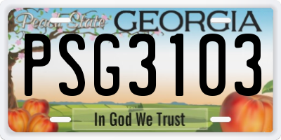 GA license plate PSG3103
