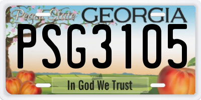 GA license plate PSG3105