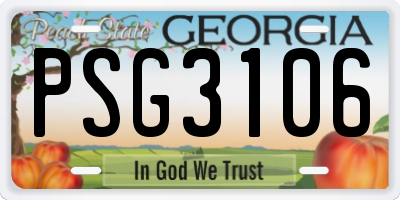 GA license plate PSG3106