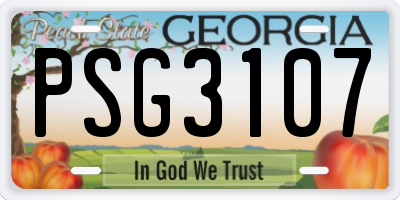 GA license plate PSG3107