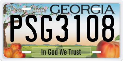 GA license plate PSG3108