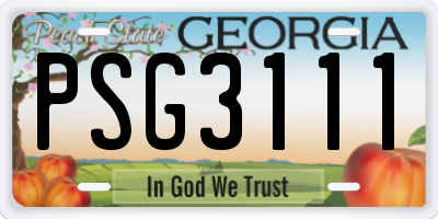 GA license plate PSG3111