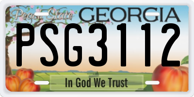 GA license plate PSG3112