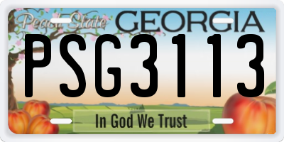 GA license plate PSG3113