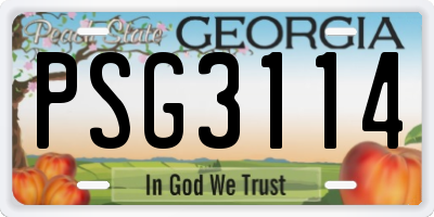GA license plate PSG3114