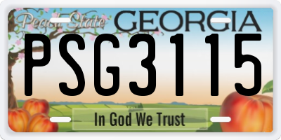 GA license plate PSG3115