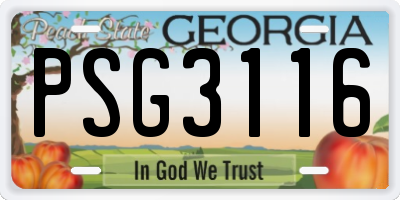 GA license plate PSG3116