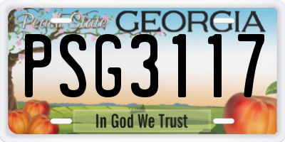 GA license plate PSG3117