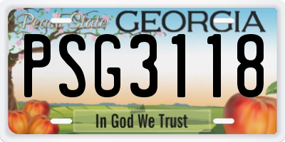 GA license plate PSG3118