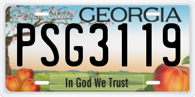 GA license plate PSG3119