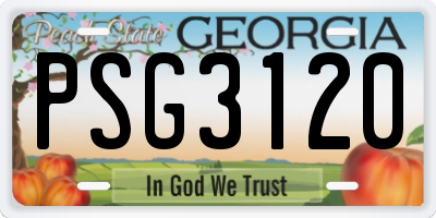 GA license plate PSG3120