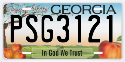 GA license plate PSG3121